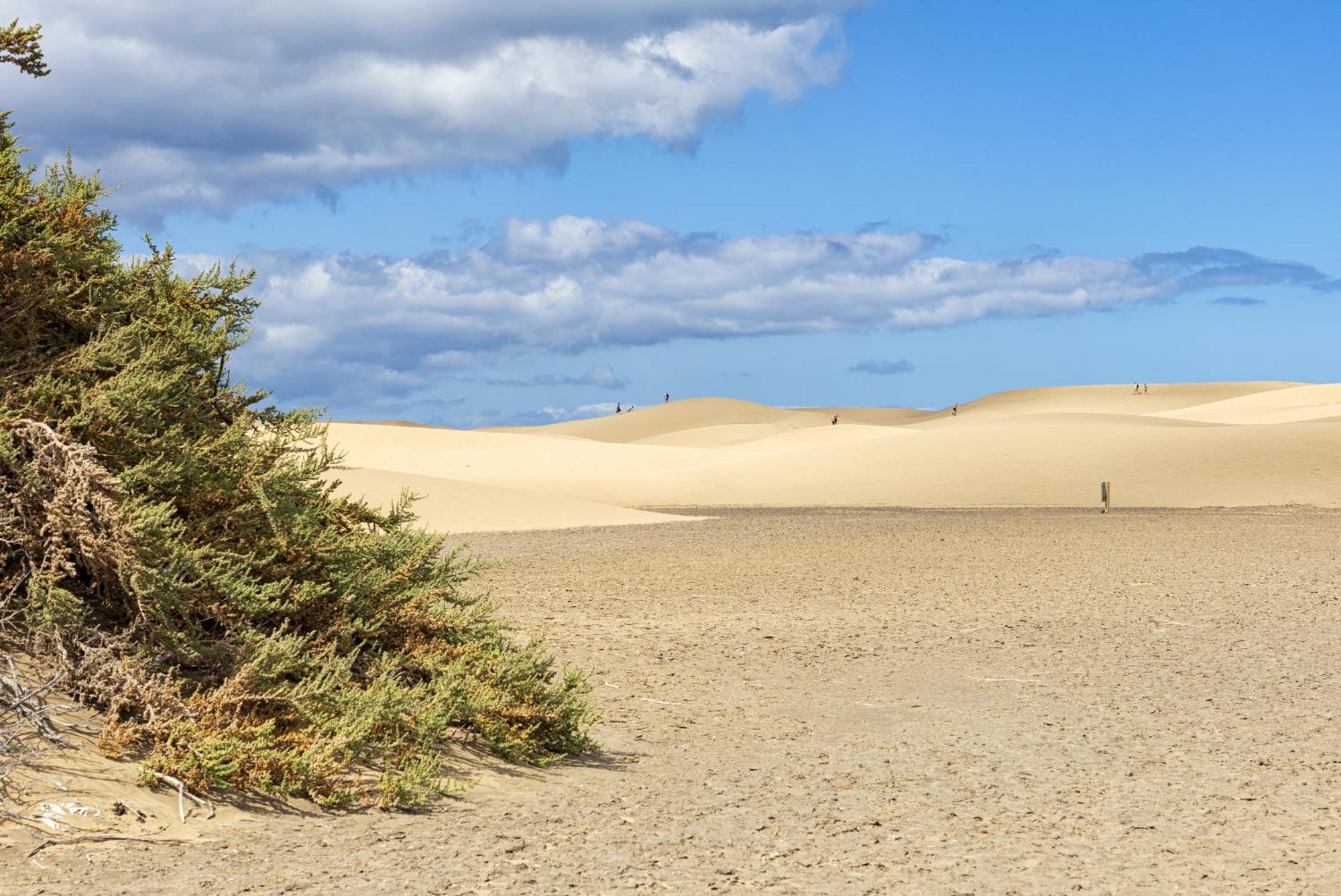 Smartr Maspalomas Corinto プラヤ・デル・イングレス エクステリア 写真